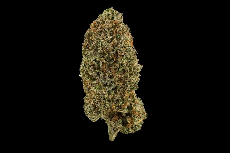 Candy Cartel