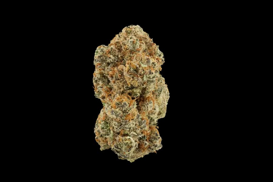 Lemon orange