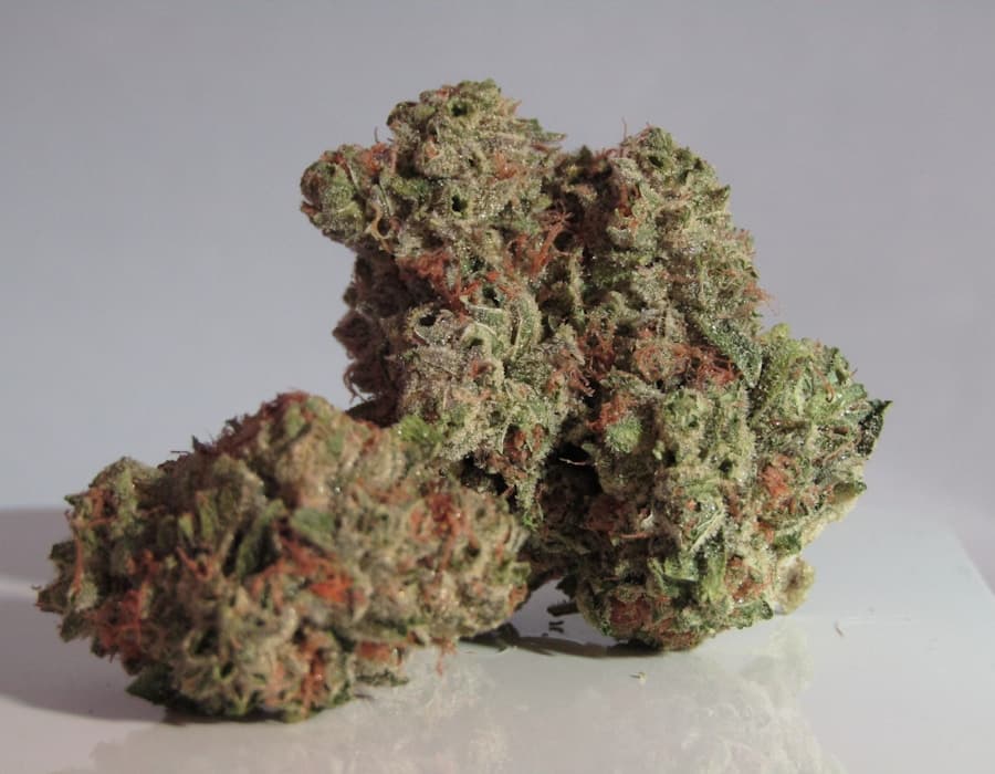 Blue Zushi — harzige Cannabisblüte, Makro